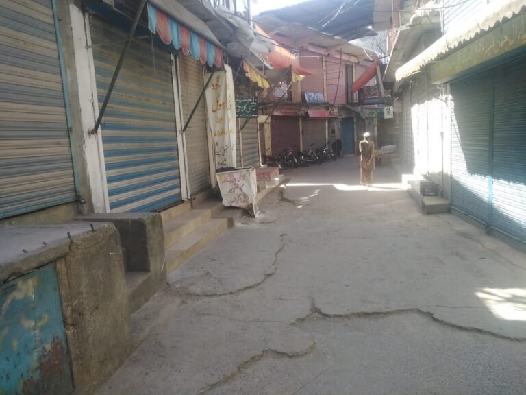 مہنگائی ،بجلی کے بلوں میں غیر ضروری ٹیکسز کے خلاف آزاد کشمیر میںہڑتال