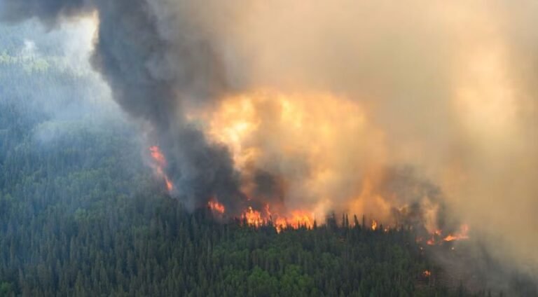 Canadian far right repeats Trump-fuelled conspiracy theories on wildfires