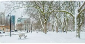 This year's winter in southern Ontario will start off harsh and snowy