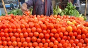 Tomato price