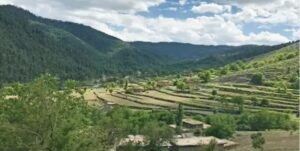 After talks, the banned TTP agreed to withdraw from the Bar Qambar Khel area of ​​Tirah Valley.