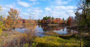 NCC secures 350 hectares of forest, wetlands, shoreline in Frontenac Arch