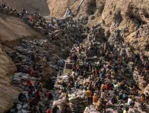 Congo died from ear-sucking