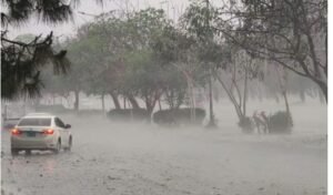 Meteorological Department forecast