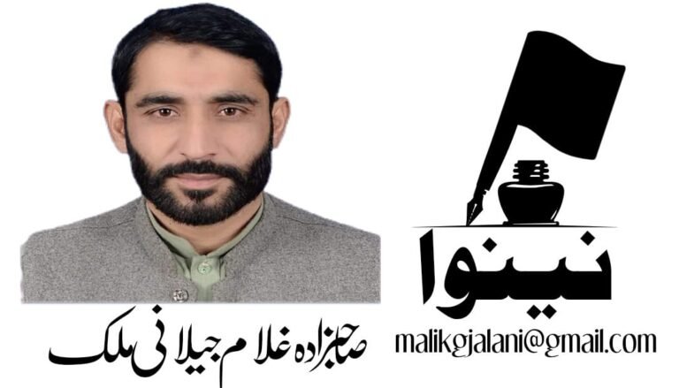 صوبائیت کا عروج